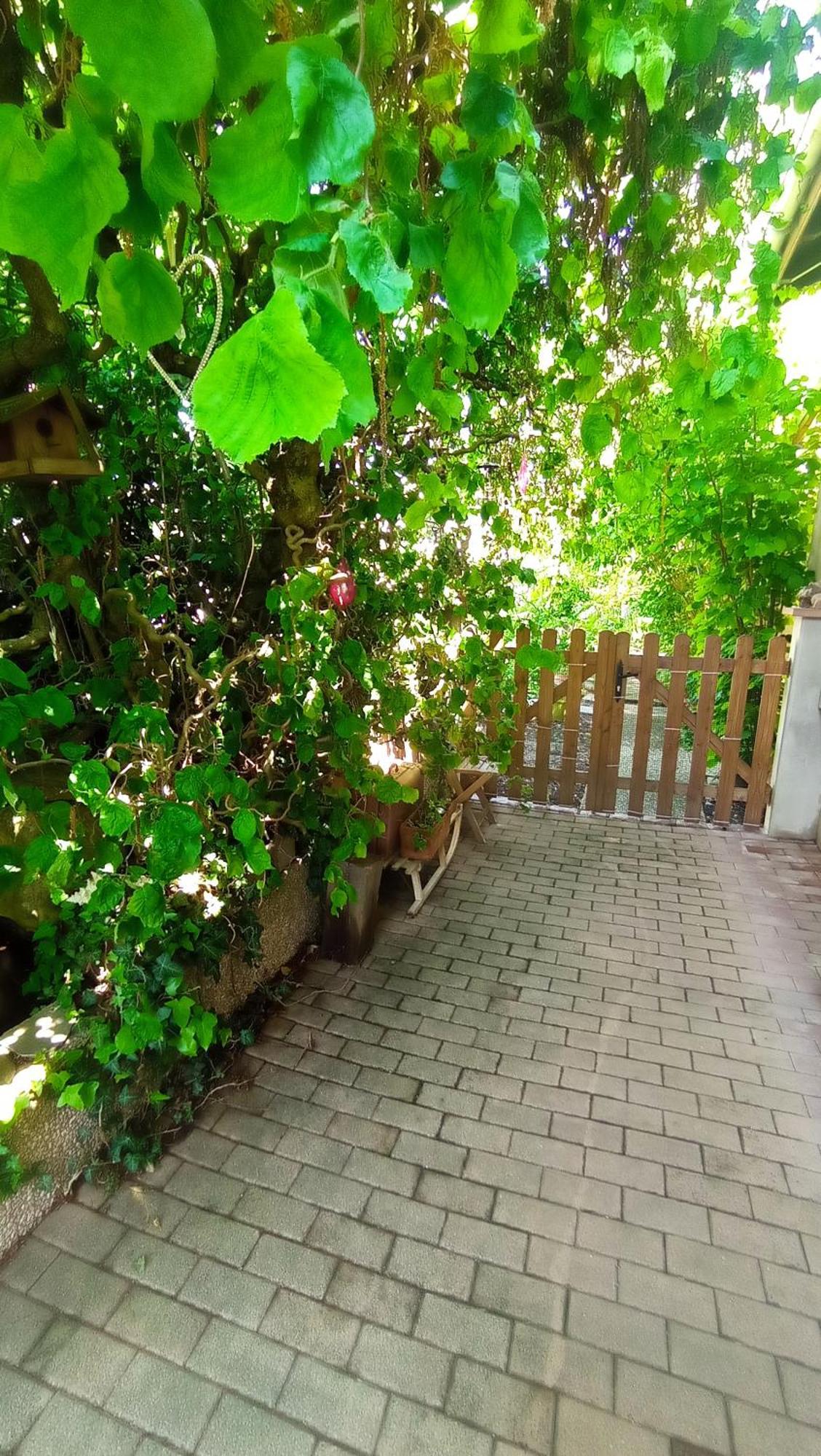 Garden Duplex Lejlighed Sundhoffen Eksteriør billede