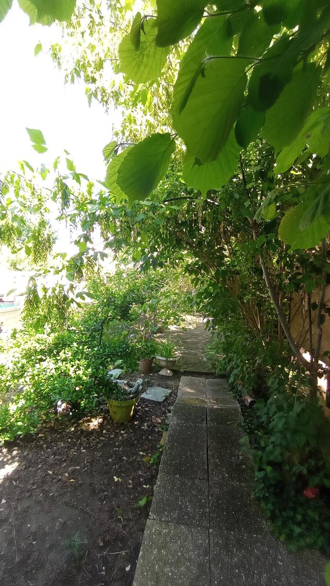 Garden Duplex Lejlighed Sundhoffen Eksteriør billede