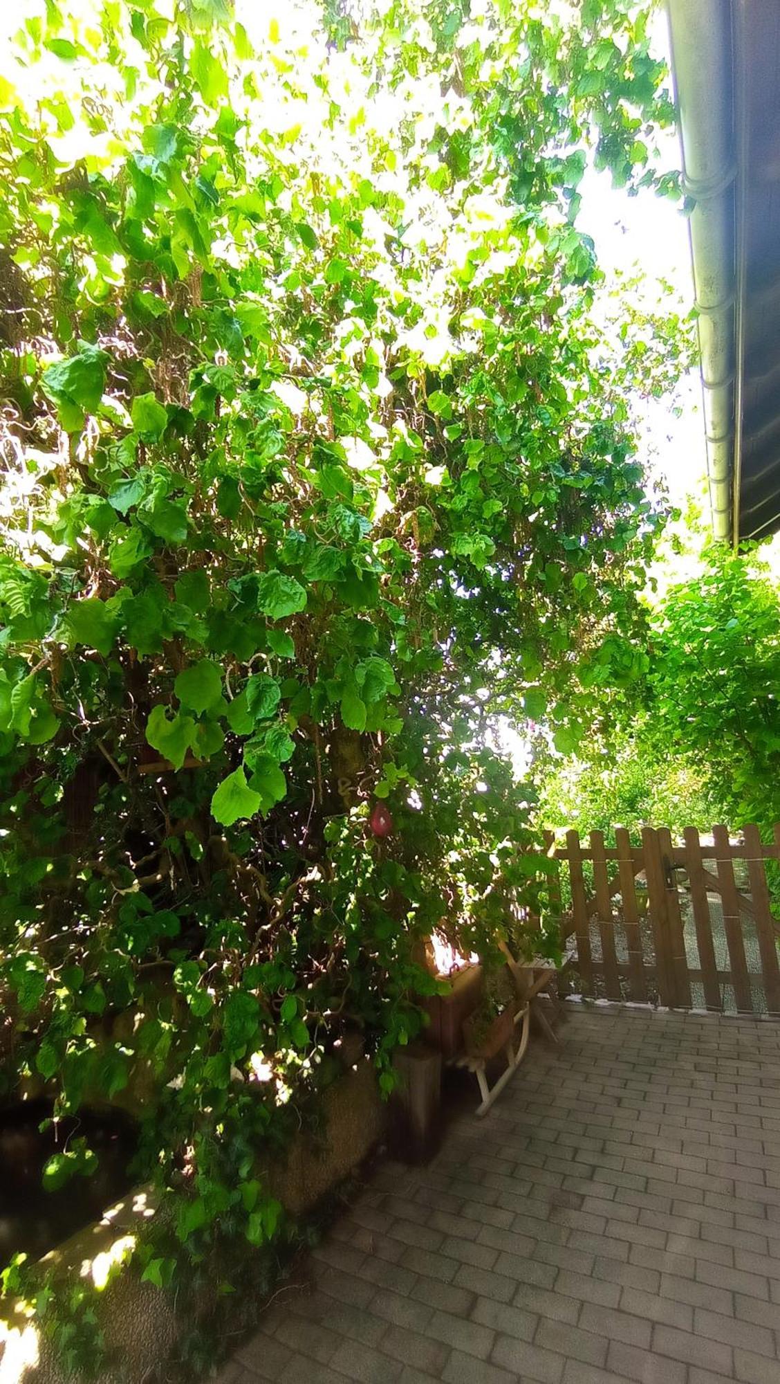 Garden Duplex Lejlighed Sundhoffen Eksteriør billede