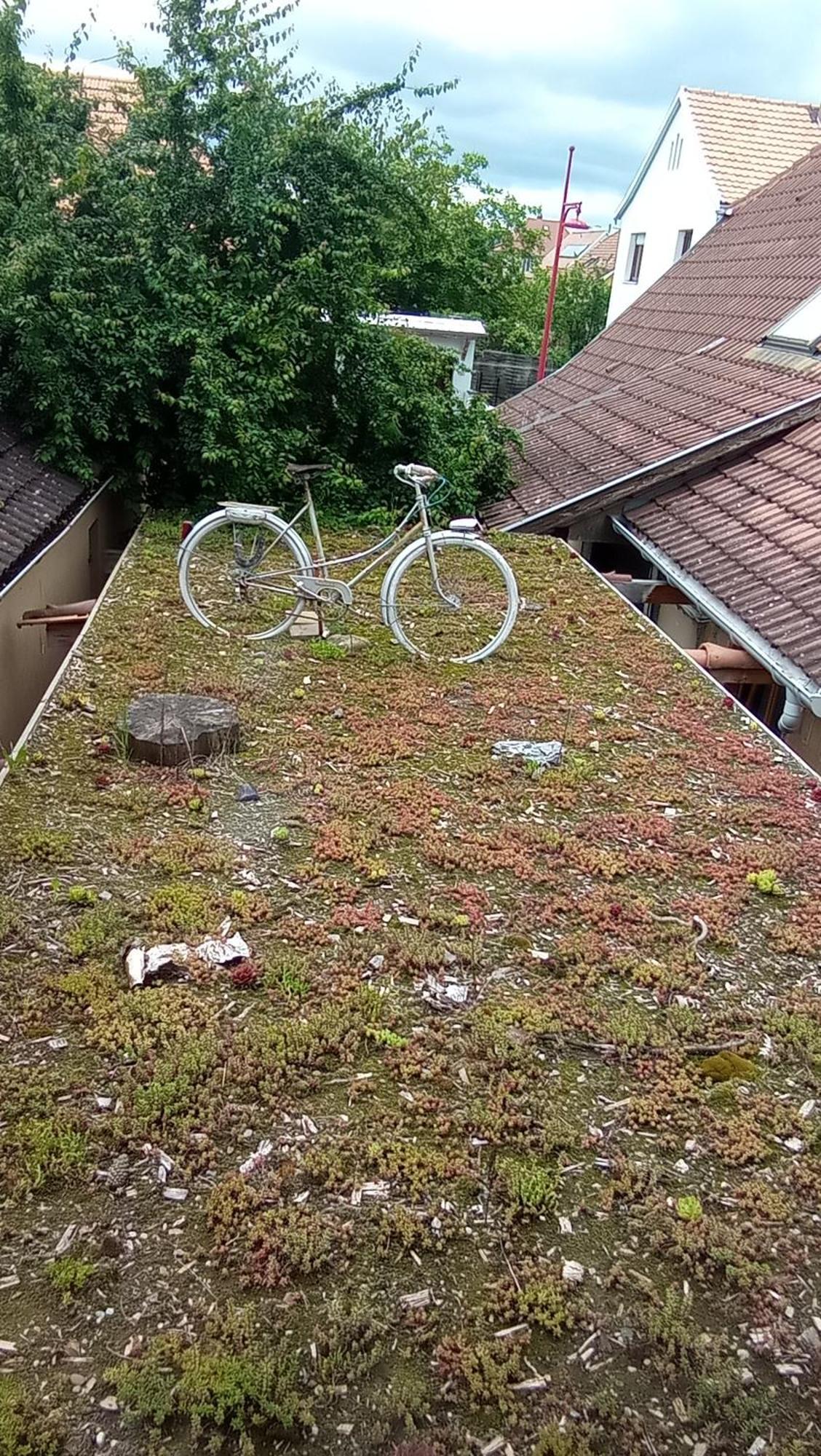 Garden Duplex Lejlighed Sundhoffen Eksteriør billede